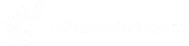 dandelionsdigital